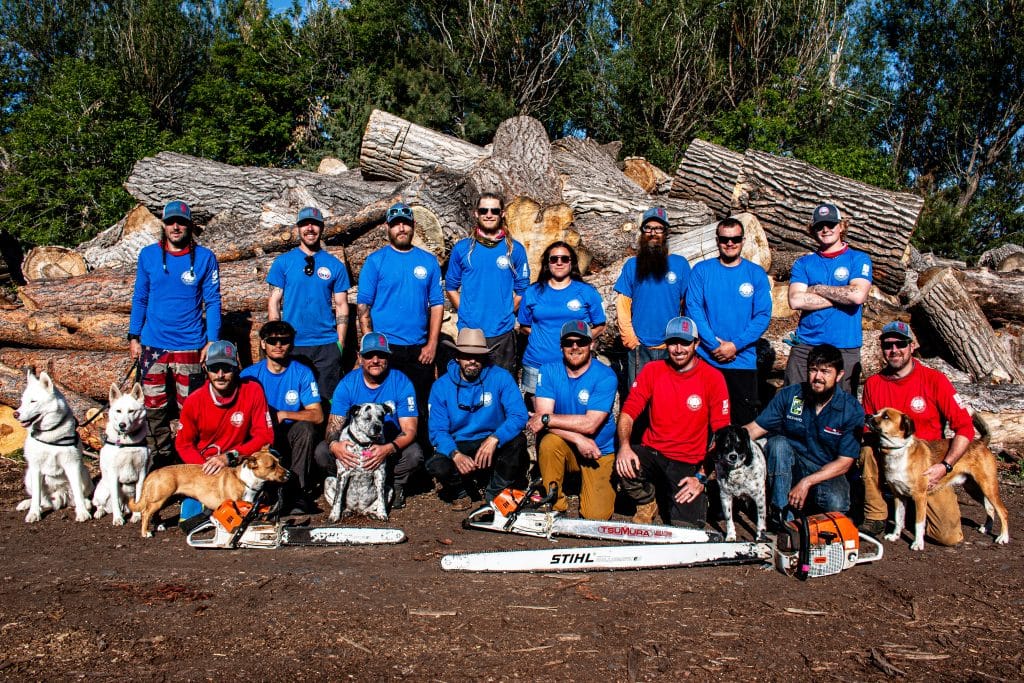 Certified arborists performing professional tree service in Boulder CO using a crane